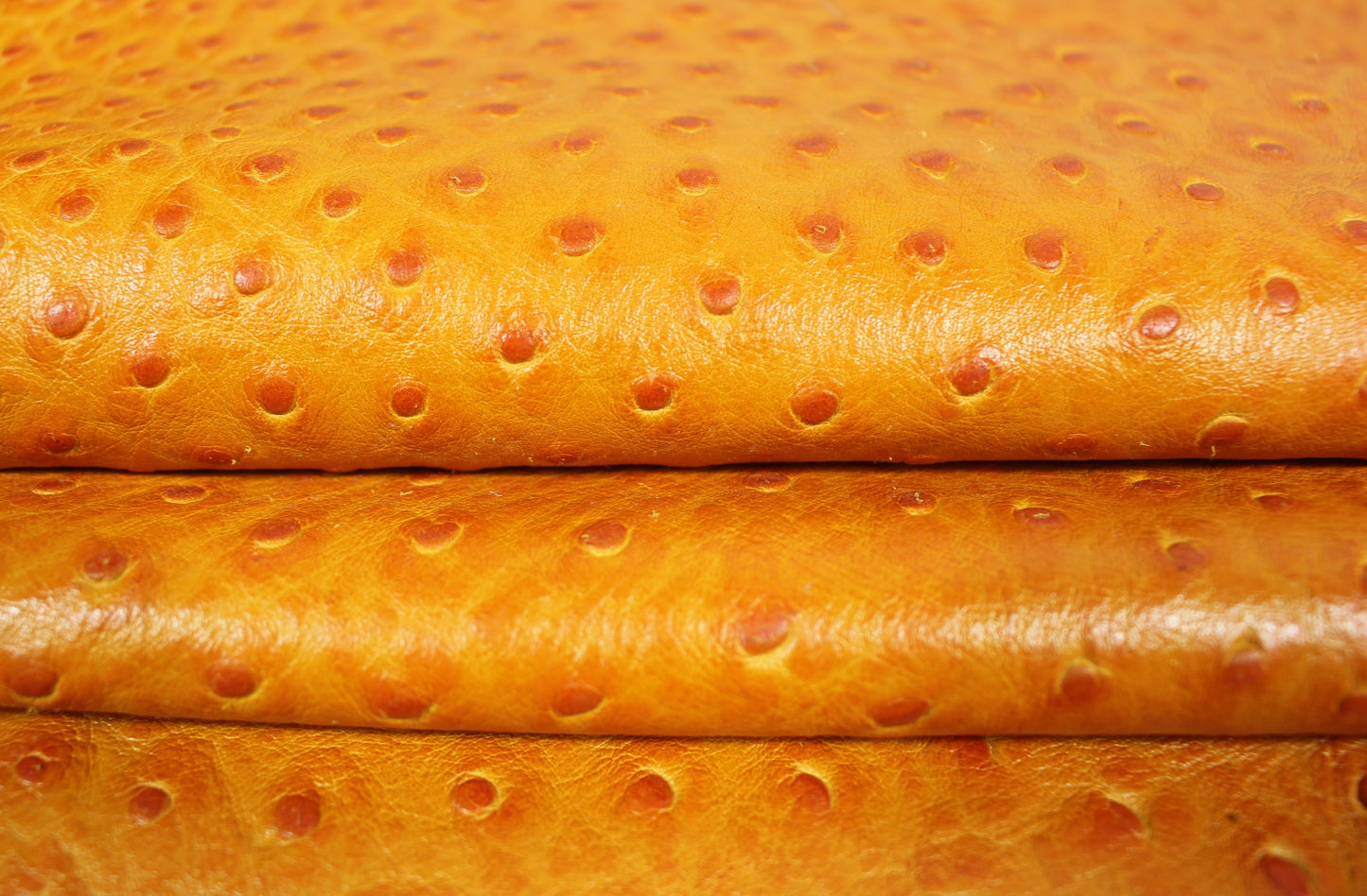 Tissus haute couture. Tissus au mètre pas cher. Tissus pas cher. Acheter tissus au mètre. Tissus français. Tissus de grandes maisons. Tissus haut de gamme. Tissus pour collection. Tissus pour createur. Jeune createur. Laine. Soie. Coton. Lin.