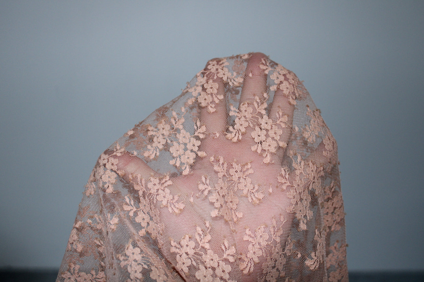 Tissu dentelle - nude - photo 4/4 | So Tissus