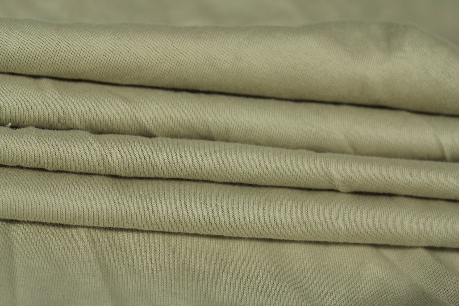 Tissu jersey coton - beige - photo 2/4 | So Tissus