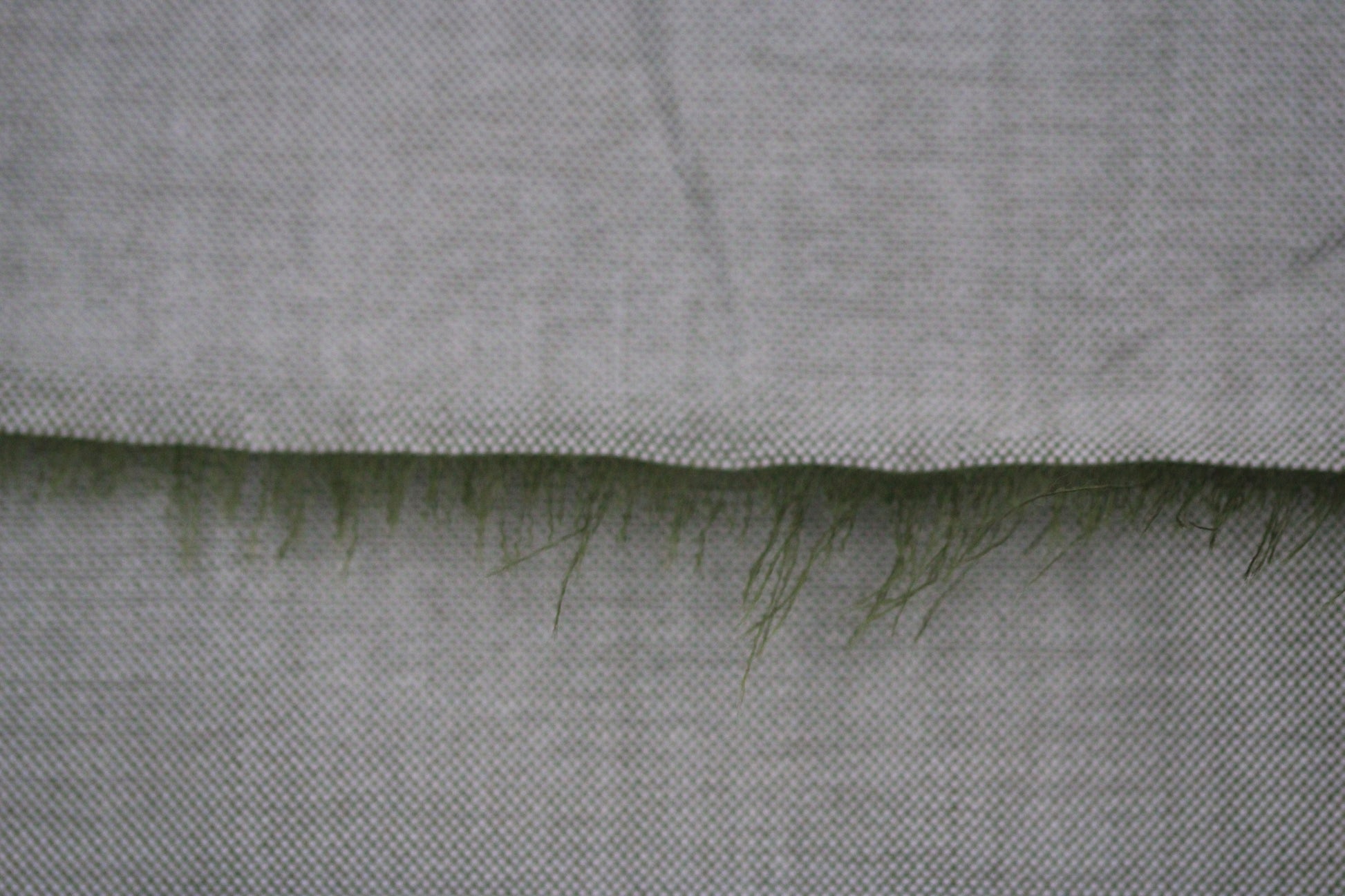 Tissu popeline piqué de coton prestige - blanc et kaki - photo 5/5 | So Tissus