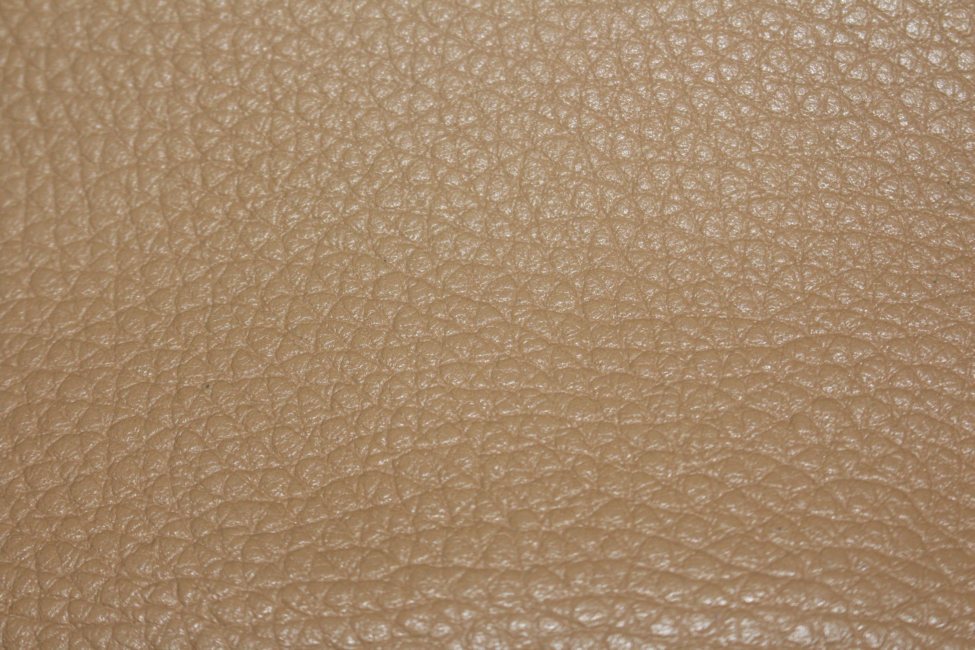 Cuir de vachette - beige | Bennytex | Mondial Tissus | Cousette | Tissus de rêve | Tissus.net