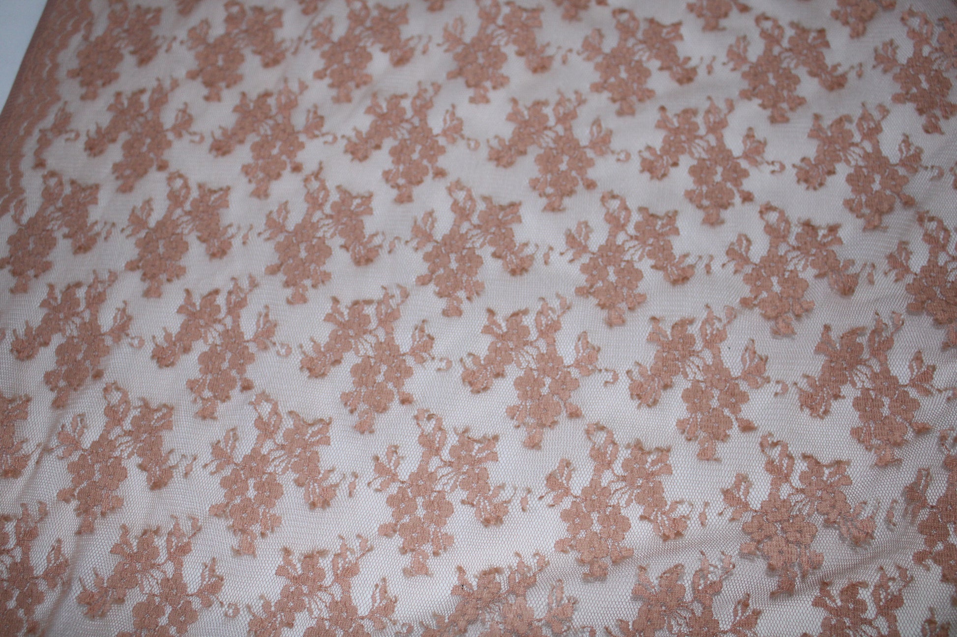 Tissu dentelle - nude - photo 3/4 | So Tissus