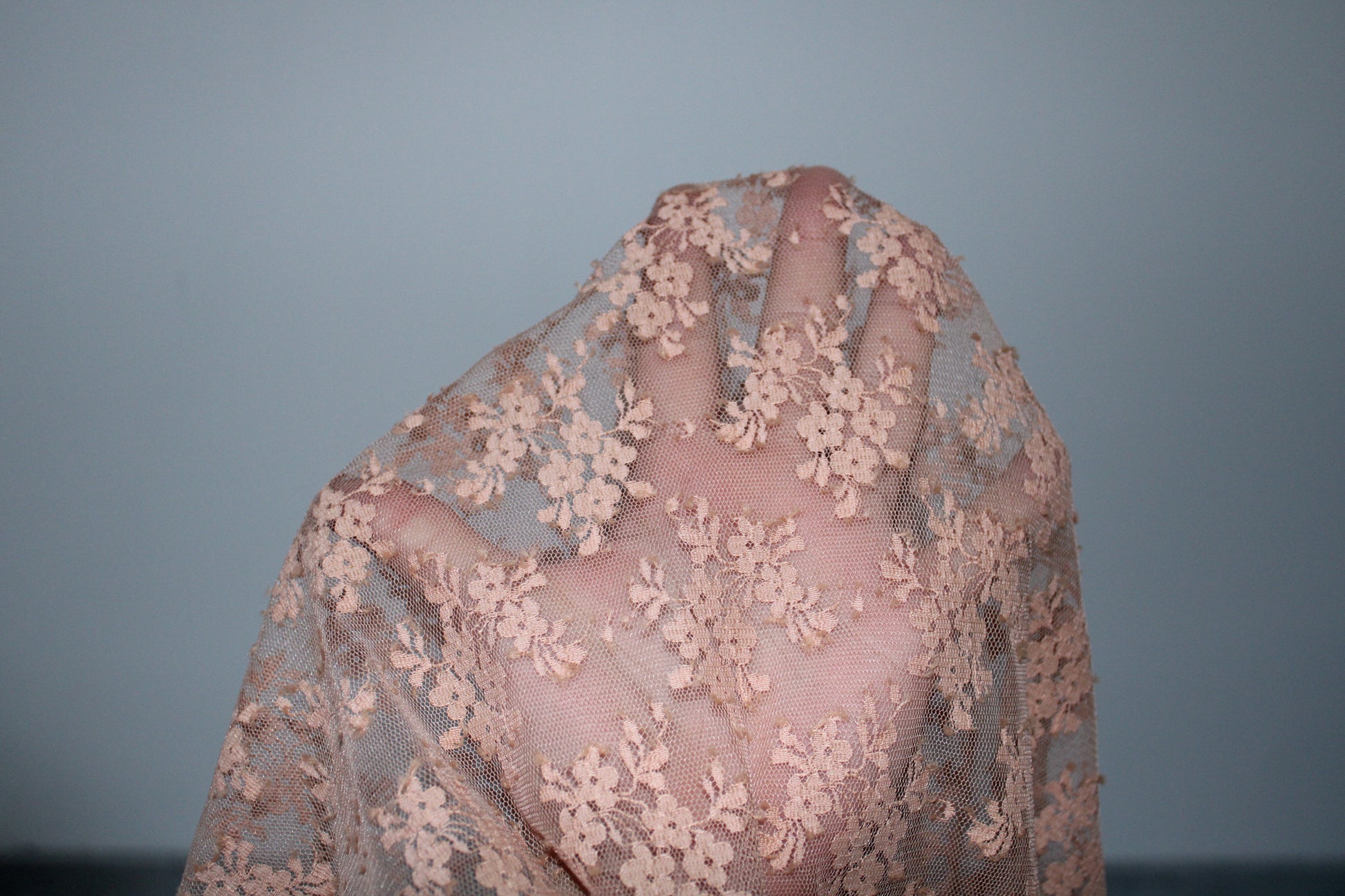 Tissu dentelle - nude - photo 4/4 | So Tissus