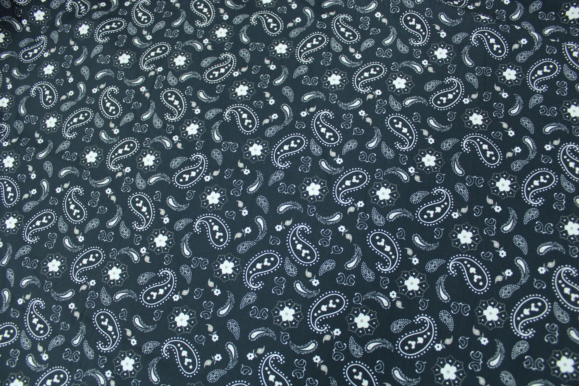Tissu popeline coton - imprimé cachemire - ton gris noir - photo 5/5 | So Tissus