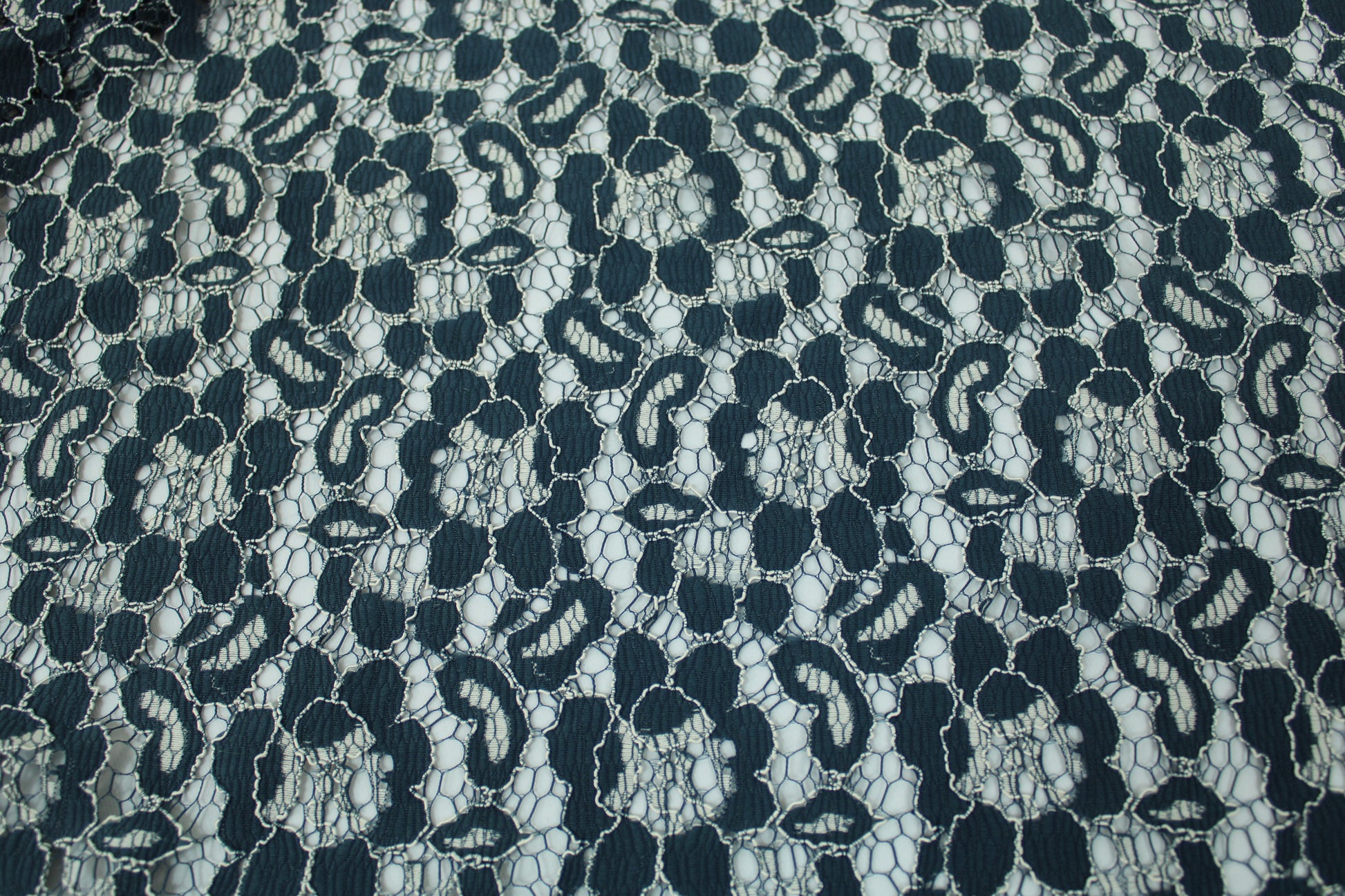 Tissu dentelle fleuri - bleu pétrole et blanc - photo 5/5 | So Tissus