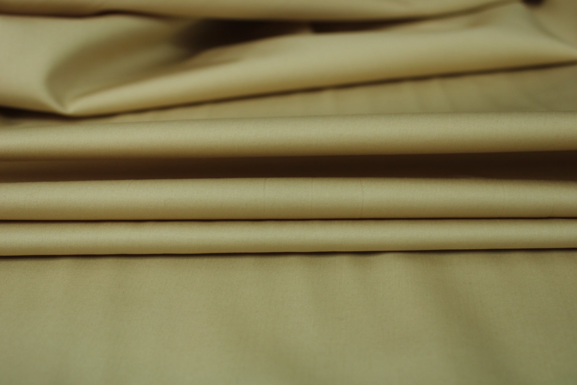 Tissu popeline coton premium - beige - photo 2/3 | So Tissus