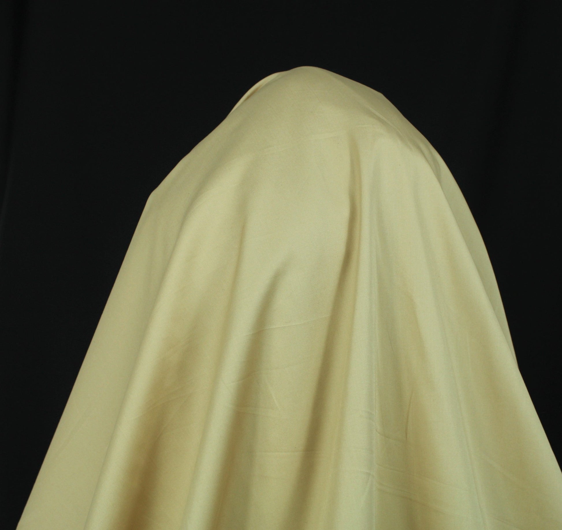 Tissu popeline coton premium - beige - photo 3/3 | So Tissus